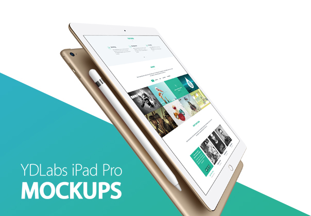 YDLabs iPad Pro Mockups 2