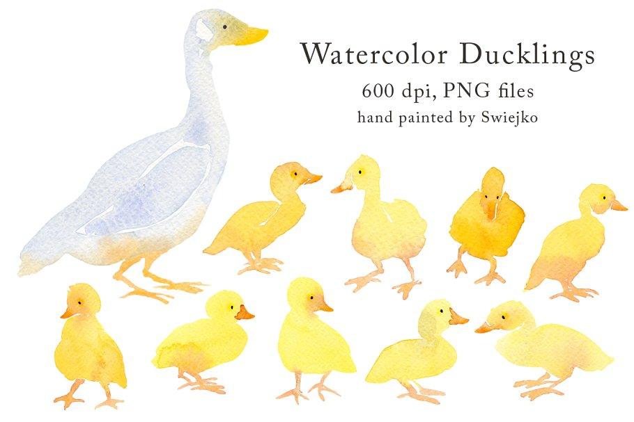 鸭子手绘水彩剪贴画 Country Clipart – Ducklings