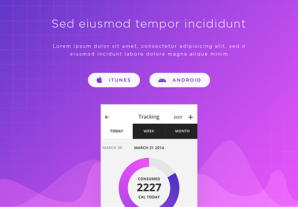 App Page Template