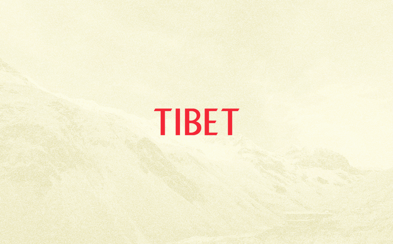 巴西广告公司TIBET品牌设计