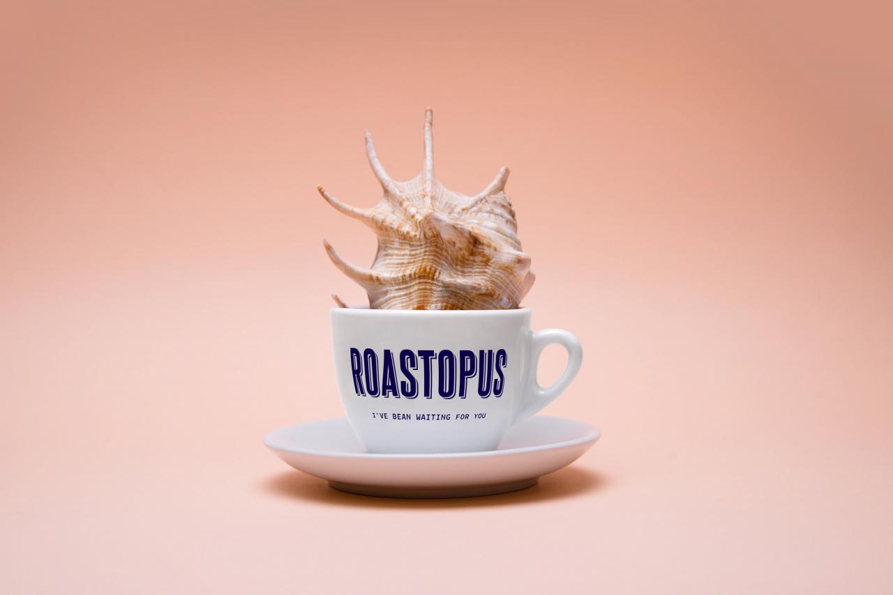 匈牙利烘焙咖啡Roastopus Coffee Roastery品牌设计