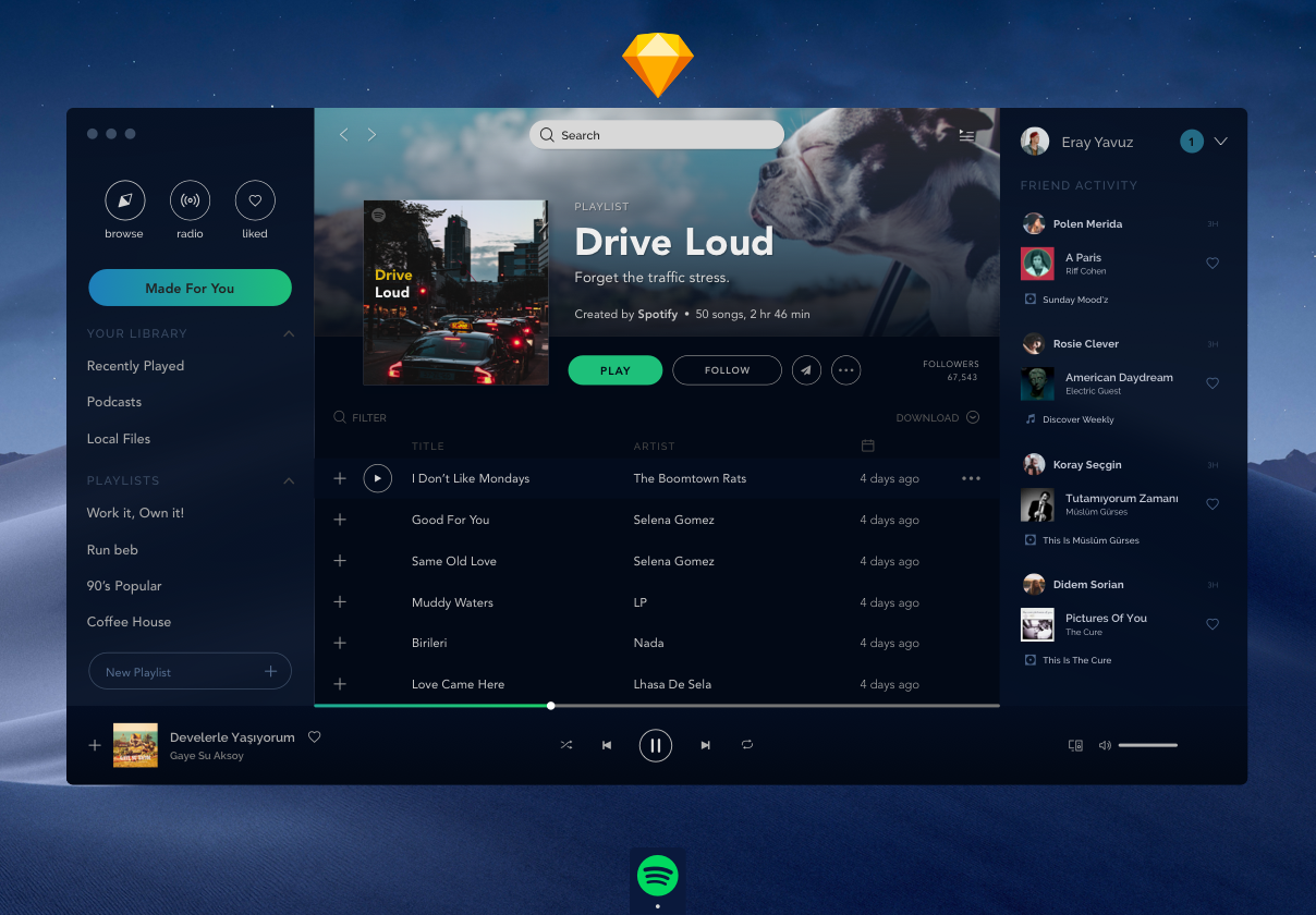 Spotify Concept Free