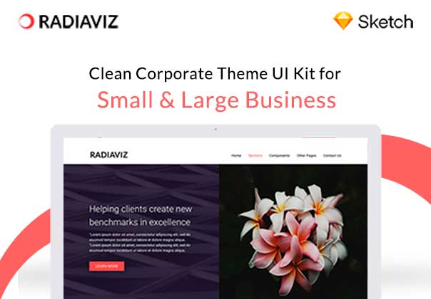 Radiaviz Corporate Theme