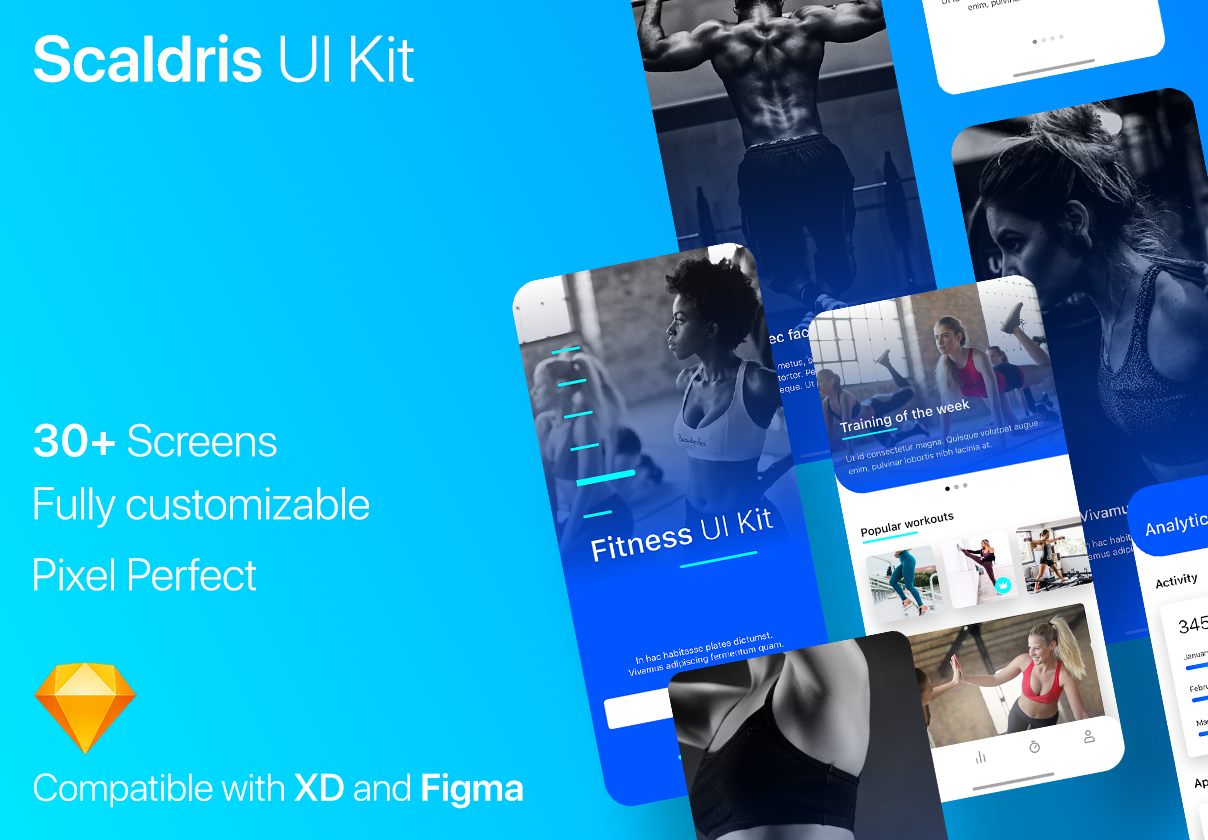 Scaldris Fitness App