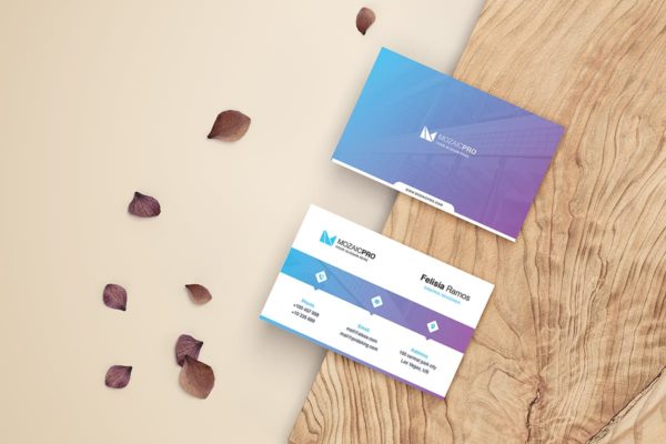 蓝色科技企业名片设计模板 Business Card