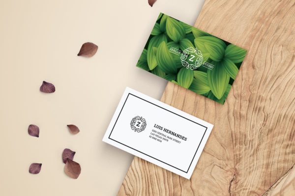 现代简约风格企业品牌名片设计模板 Business Card