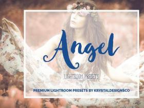 25款天使平面设计师时尚博主摄影后期制作LR调色预设 25 Angel Lightroom Presets