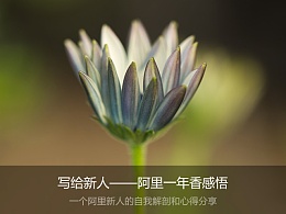 写给新人——阿里一年香感悟