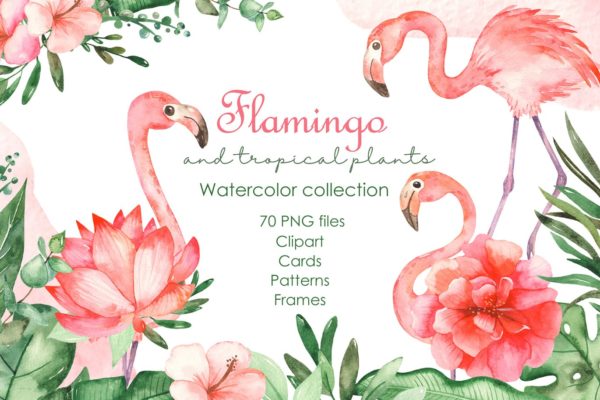 火烈鸟＆热带植物水彩插画素材 Watercolor flamingos and tropical plants
