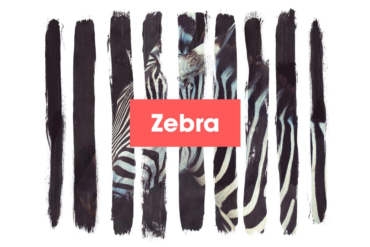 斑马条纹图形效果PSD模板 Zebra