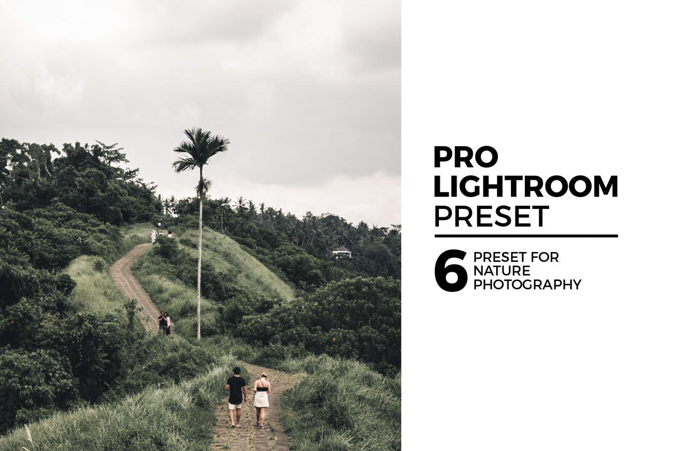 6款大自然风景摄影后期处理调色滤镜LR预设 6 Nature Lightroom Preset
