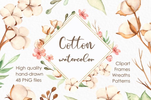 水彩棉花手绘剪贴画/花框/花环设计素材 Watercolor cotton. Clipart, frames, wreaths