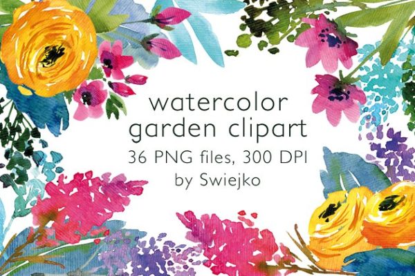 城市花园水彩花卉剪贴画 Watercolor Country Flowers