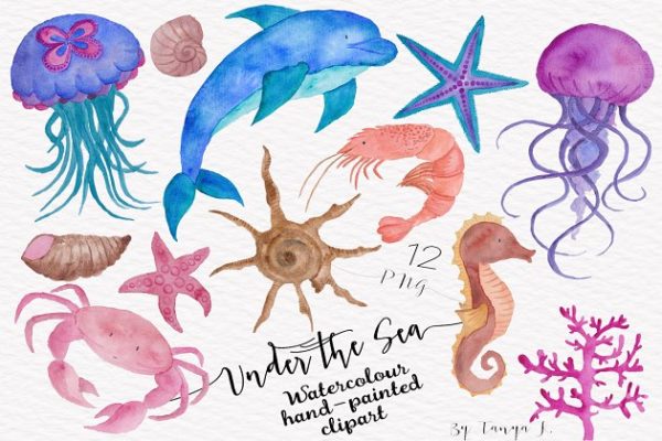 海洋生物水彩插画合集 Under the Sea Watercolor Collection