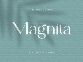 serif字体，Magnita  –  serif字体