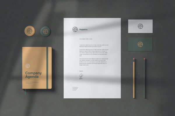 优雅高端企业品牌VI设计效果图样机 Branding / Stationery Mockups