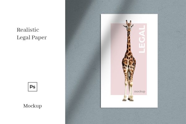 法律文件印刷效果图样机模板 Legal Paper Mockup