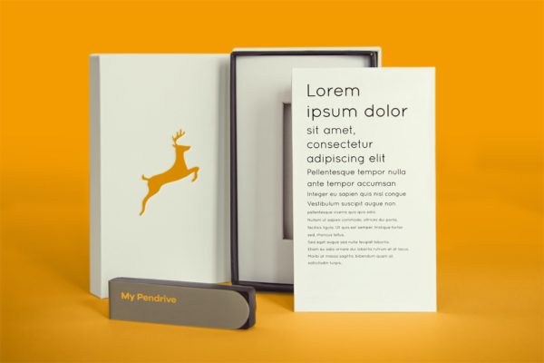 高端产品外包装盒组合套装样机模板 Standing Product and Pendrive psd Mock-ups
