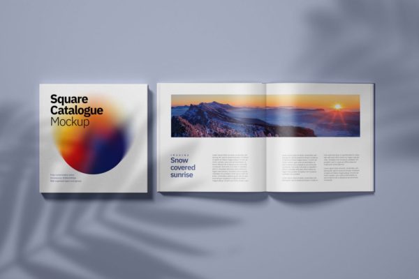 方形产品目录画册效果图展示样机 Square Catalogue Mockup