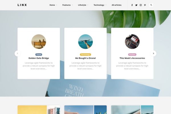 多种主页版式风格WordPress博客＆杂志主题模板 Linx – WordPress Blog & Magazine Theme