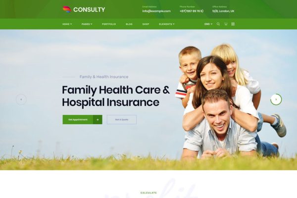 金融咨询/理财规划业务WordPress主题模板 Consulty – Business Finance WordPress Theme