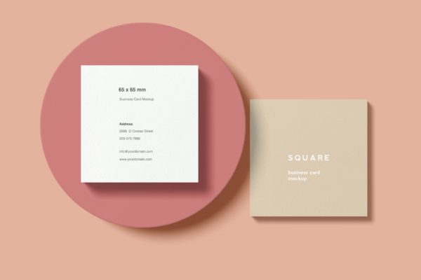 创意方形企业名片设计图样机 Square Business Card Mockup with circle shape