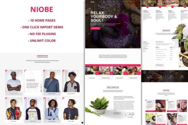 SPA美容院/会所品牌网站WordPress主题模板 Niobe – Spa & Salon WordPress Theme