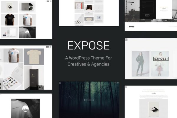 创意机构和自由职业者网站WordPress主题 EXPOSE – Creatives & Agency WordPress Theme