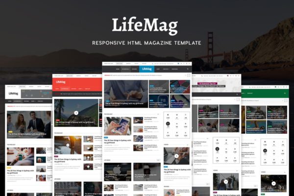 生活方式资讯响应式杂志网站HTML模板 LifeMag – Responsive HTML Magazine Template