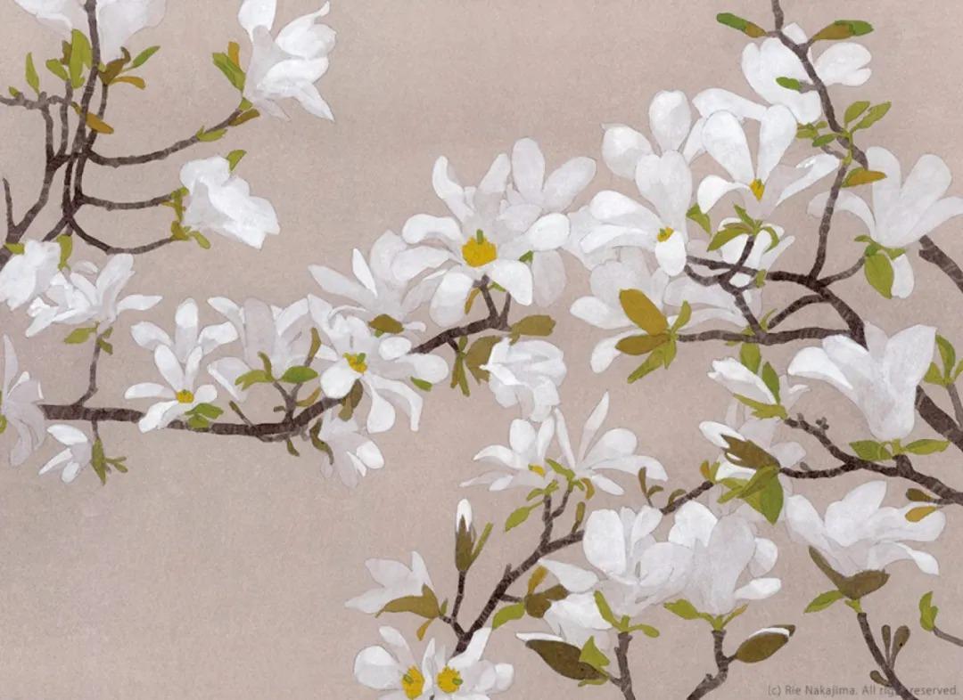 清新静谧！日本插画师中岛梨绘(Rie Nakajima)作品欣赏