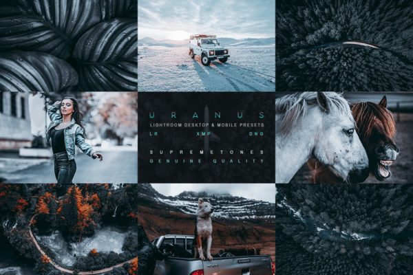 现代美学风格Instagram照片后期LR预设 Pluto Lightroom Presets
