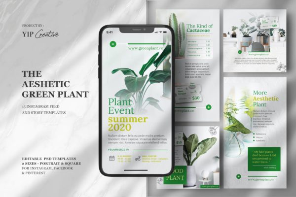 清新自然绿植Instagram故事贴图模板 Green Event – Instagram Feed & Story