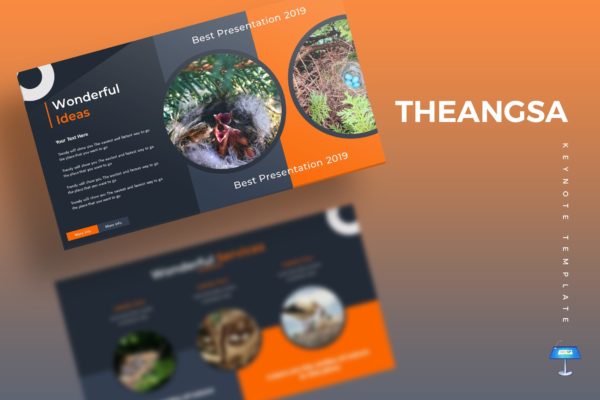 鸟类繁殖主题Keynote幻灯片设计模板 The Angsa – Keynote Template