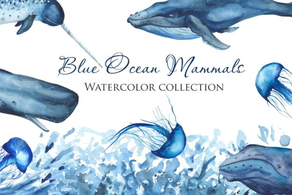 蓝色海洋哺乳动物水彩系列剪贴画 Watercolor Blue Ocean Mammals
