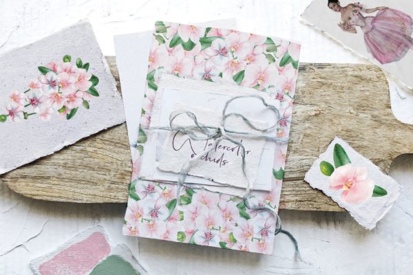 清新手绘水彩兰花花卉插图集 Watercolor orchid flowers illustrations set