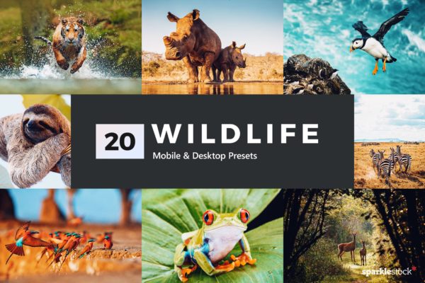 20款野生动物摄影主题Lightroom调色预设 20 Wildlife Lightroom Presets and LUTs