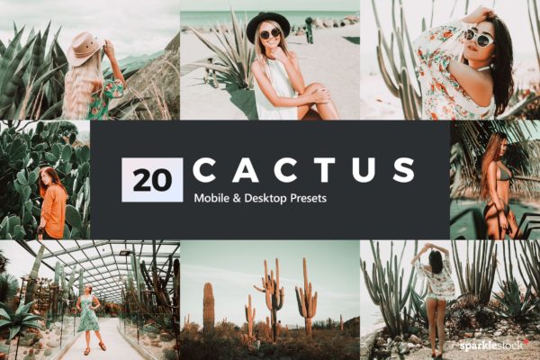 20款创意植物绿照片后期处理LR预设 20 Cactus Lightroom Presets and LUTs