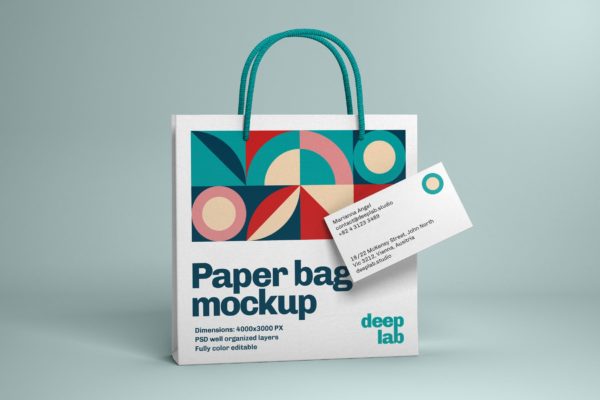 纸质购物袋&名片品牌设计正视图样机 Paper Bag and Business Card Branding Mockup