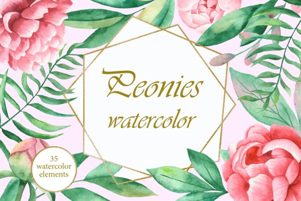 淡雅手绘水彩牡丹花卉元素剪贴画 Watercolor Peonies flowers