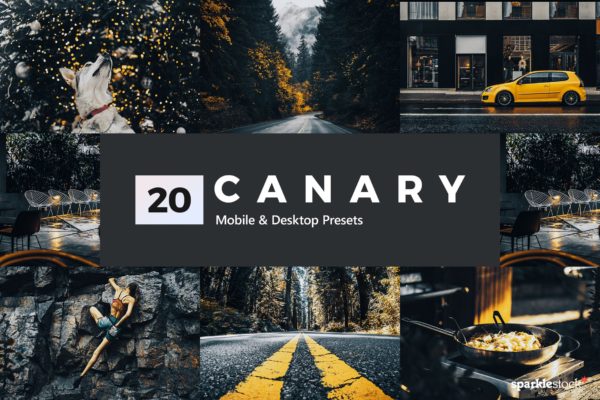 20款淡黄色的Lightroom预置和LUTs 20 Canary Yellow Lightroom Presets and LUTs