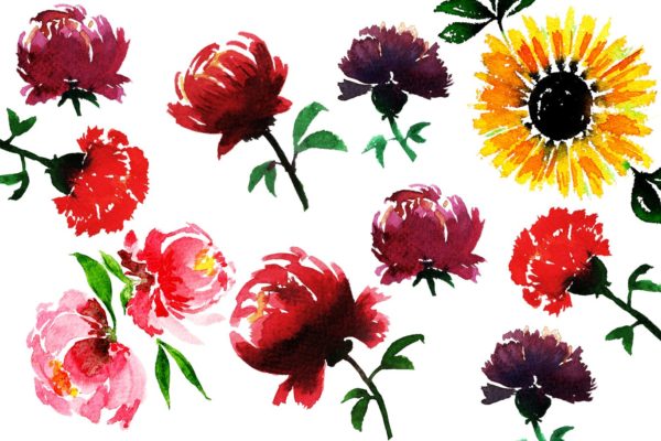 精美手绘水彩设计花卉元素素材集 Watercolor Flowers – Floral Elements