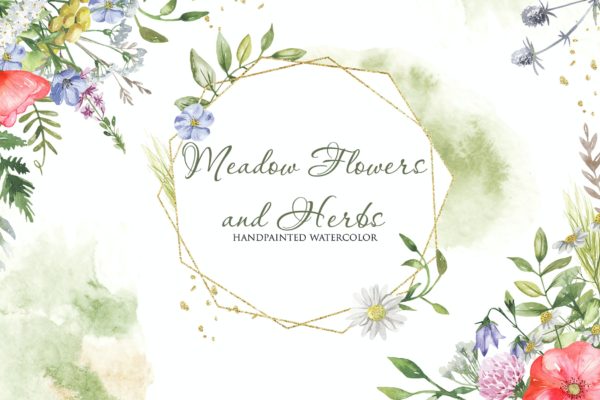 淡雅水彩花卉/草本植物素材剪贴画 Watercolor Meadow flowers and Herbs
