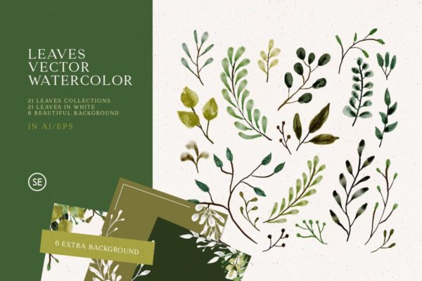 淡雅手绘水彩矢量树叶元素＆插图合集 Leaves Vector Watercolor