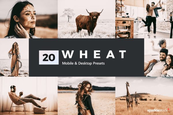 20款小麦色彩风格照片LR调色预设 20 Wheat Lightroom Presets and LUTs