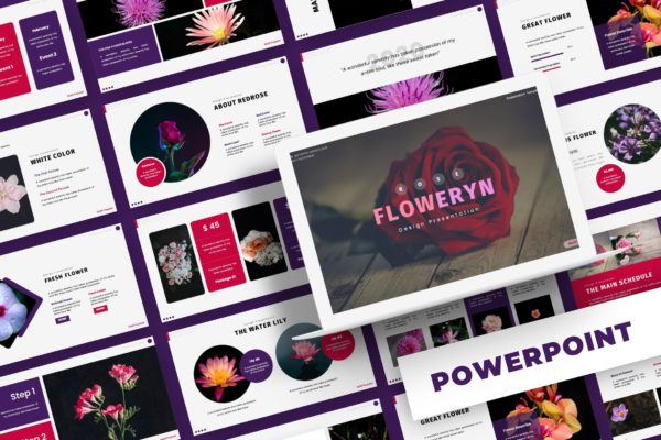 花卉介绍PPT素材 Floweryn – Powerpoint Template