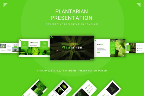 干净清新舒适风绿植背景PPT模板 Plantarian Presentation