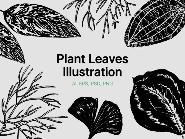 设计森林下午茶：手绘丛林植物叶子插画素材集