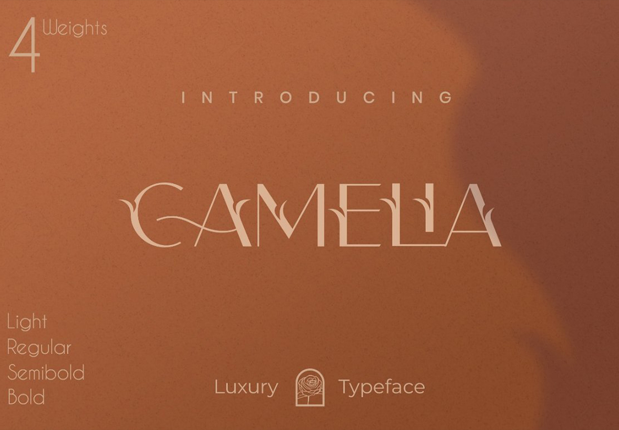 Camelia Sans – Unique Typeface