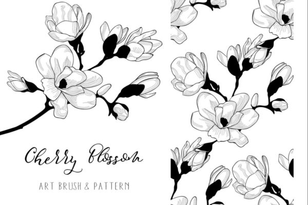 樱花花卉设计元素美术刷Photoshop笔刷 Cherry Blossom. Floral Design Element. Art Brush.