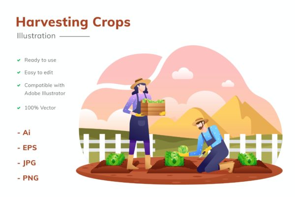 收割农作物场景矢量插画 Harvesting Crops Illustration